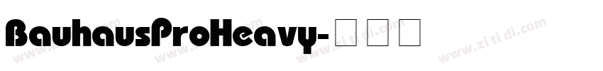 BauhausPro Heavy字体转换 BauhausPro Heavy字体转换